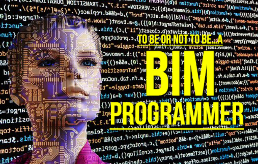 Programacion_BIM_03-David Barco